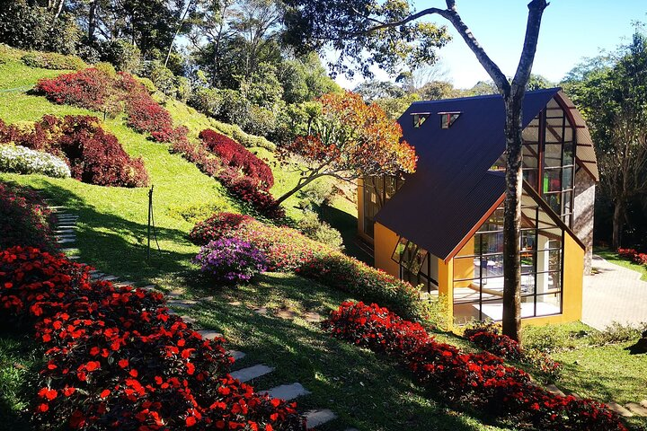 Pandora Falls Guided Hike, 3 most impressive waterfalls in Arenal - Photo 1 of 22